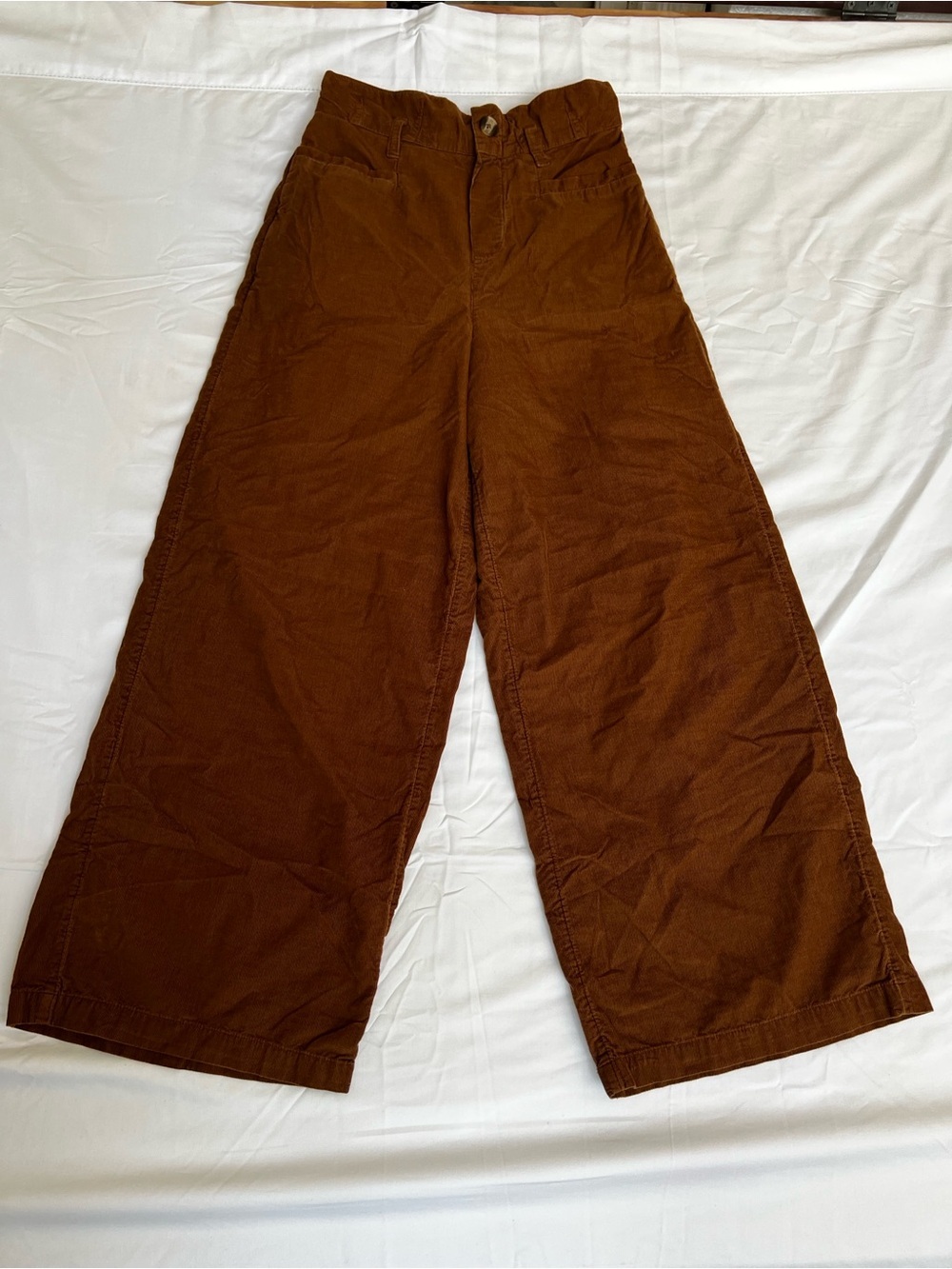 American Eagle Outfitters Wide-Leg Corduroy Pants in Rust Brown